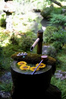 花手水 花手水の写真