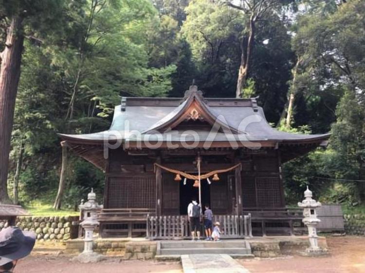 伊豆日枝神社 伊豆,日枝神社,本殿の写真素材