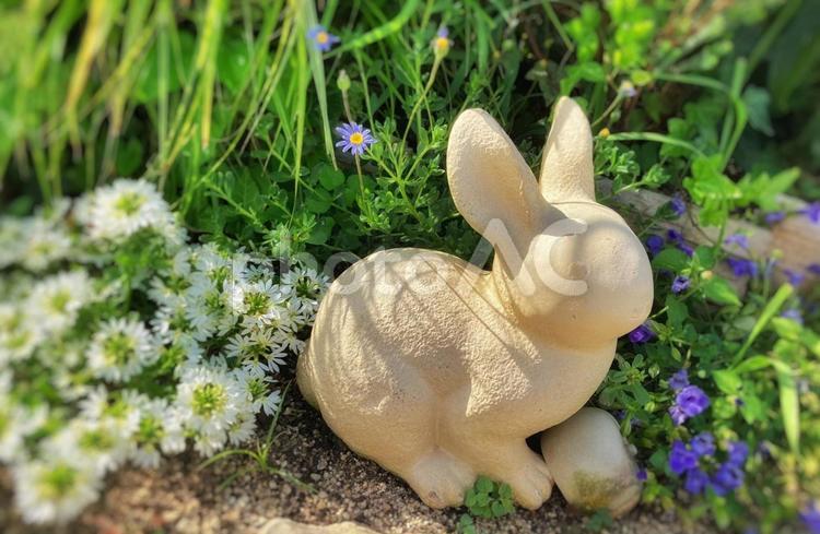 ガーデニングの風景 自然,フリー素材,web素材の写真素材