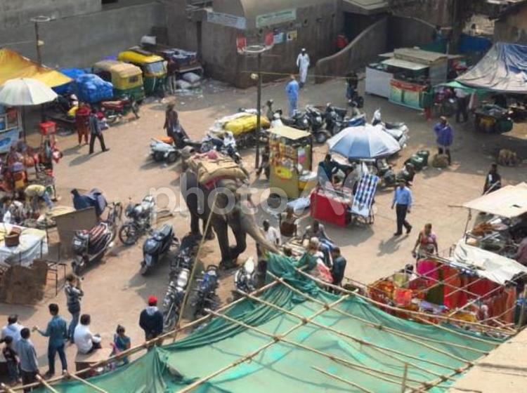 インド　アーメダバードの路地　バザール2 バザール,象,ぞうの写真素材