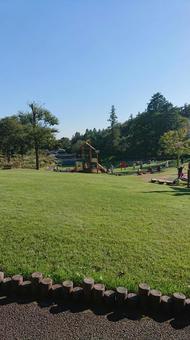 公園の芝生と空 公園の芝生と空の写真