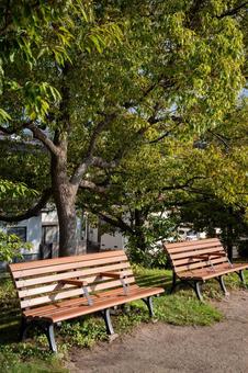 ベンチ ベンチ ベンチ,昼,休日の写真素材