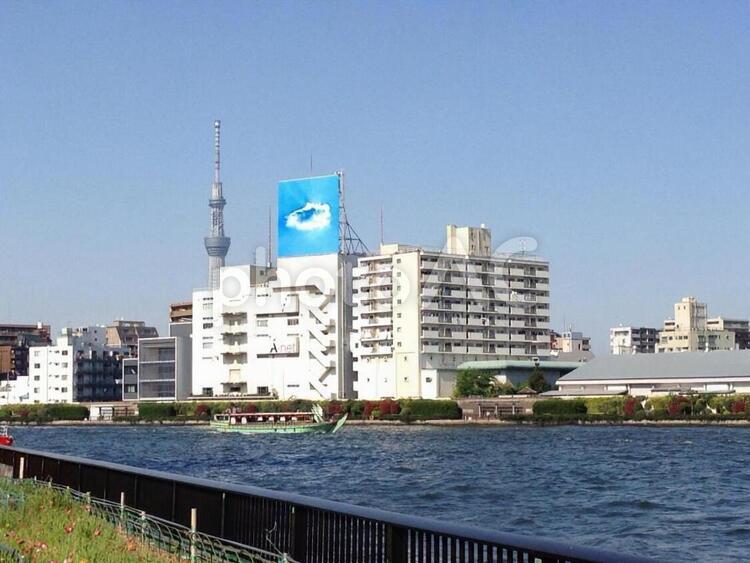 スカイツリーと屋形船 スカイツリー,屋形船,水上バスの写真素材