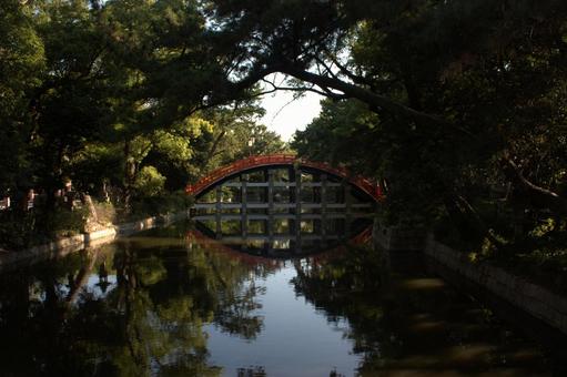 住吉大社 反橋 住吉大社 反橋 住吉大社,橋,神社の写真素材