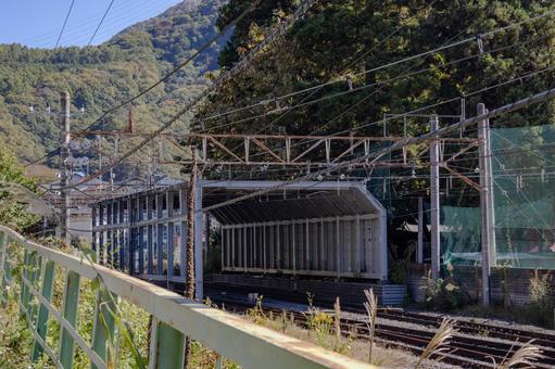 初鹿野諏訪神社の朴の木 初鹿野諏訪神社,神社,伝説の写真素材