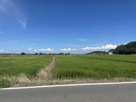 広い大地 広い大地の写真