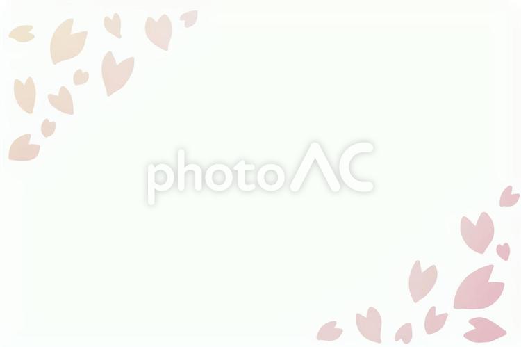桜の花びらのフレーム 桜,フレーム,春の写真素材