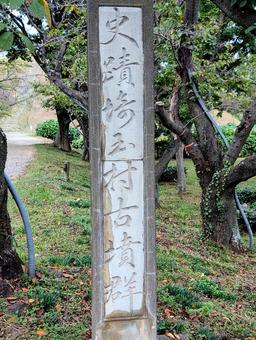 埼玉古墳群 埼玉古墳群,古墳群,古墳の写真素材