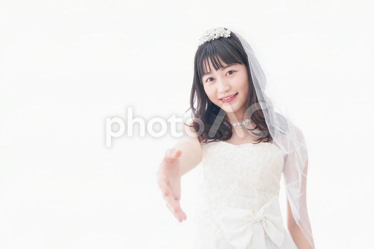 握手をするドレス姿の花嫁 衣装,日本人,片手の写真素材