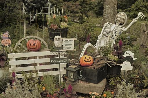 ハロウィンデコレーション ハロウィンデコレーション ハロウィン,カボチャ,ランタンの写真素材
