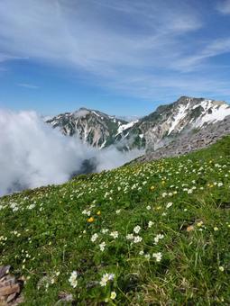 Mountains of Japan Mountains of Japanの写真
