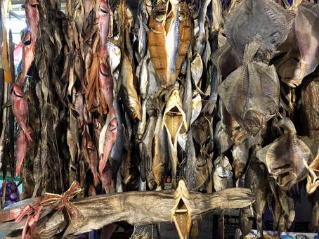 吊るされた魚の干物 吊るされた魚の干物の写真