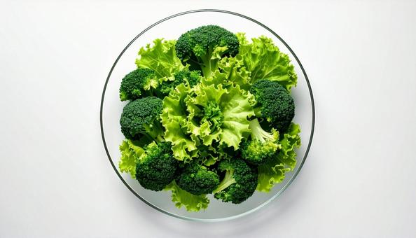 グリーンサラダ グリーンサラダの写真