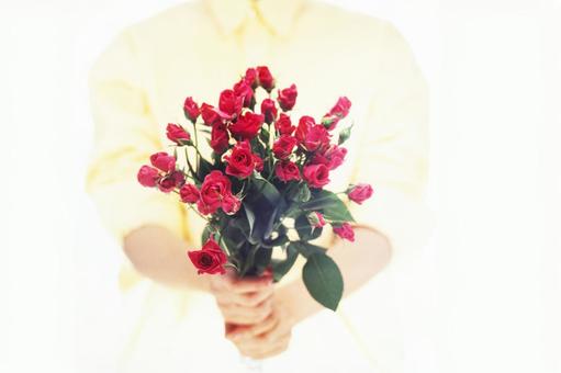 Rose flower in hand 12, JPG