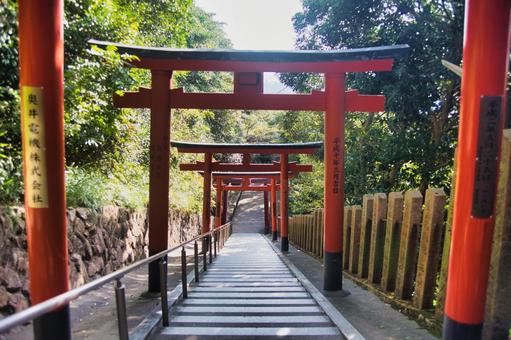 神戸市長田区 高取山の風景 神戸市長田区 高取山の風景の写真
