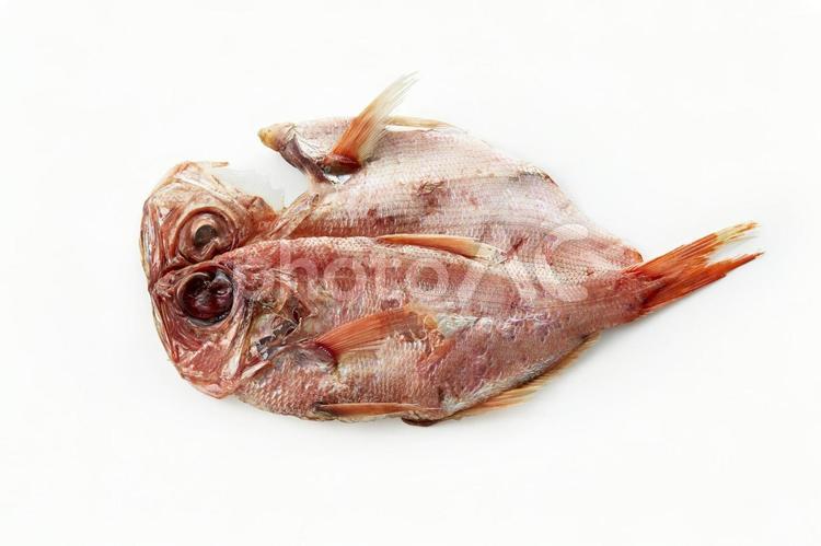 金目鯛の一夜干し 金目鯛の一夜干し,金目鯛,きんきの写真素材