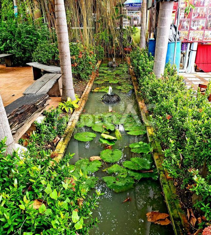 タイの水辺の風景 庭園,葉,自然の写真素材
