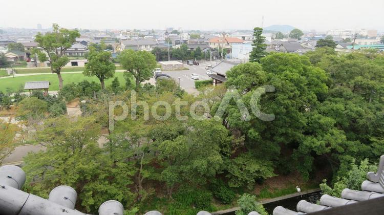 西尾城　本丸　丑寅櫓からの眺望 西尾城,丑寅櫓,鍮石門の写真素材