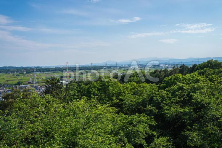 桜山展望台から眺めた入間の茶畑 入間市,展望台,眺めの写真素材