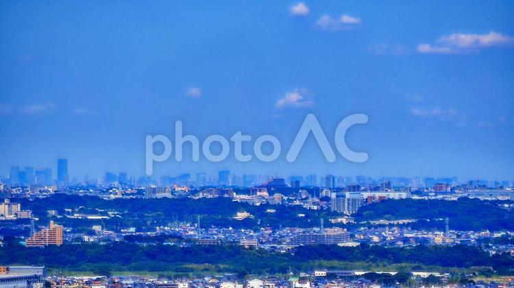 夏の七沢森林公園・高所から見る厚木市の街 夏,七沢森林公園,ながめの丘の写真素材