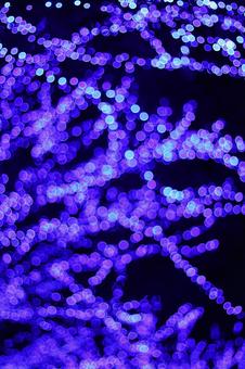 青のイルミネーション イルミネーション,青,光の写真素材