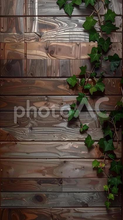 ツタとダークウッド　木目テクスチャ　縦型 ダークウッド,蔦,背景の写真素材