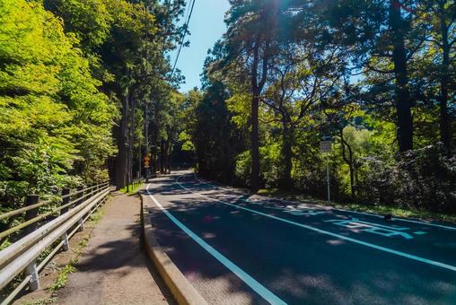 【宮城】仙台城跡 2025 【宮城】仙台城跡 2025 宮城,仙台,仙台城跡の写真素材