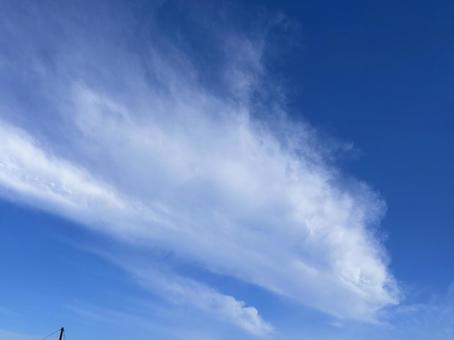 【空の写真】秋空 【空の写真】秋空 秋空,空,雲の写真素材