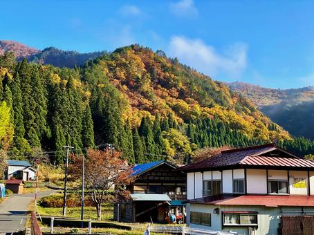 快晴の秋 快晴の秋 紅葉,秋,秋色の写真素材