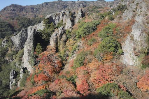 小豆島・寒霞渓の紅葉2 小豆島,香川県,寒霞渓の写真素材