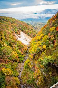 福島県　磐梯吾妻スカイラインの風景 磐梯吾妻スカイライン,福島,福島県の写真素材