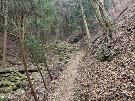 Photo, sengen ridge, landscape, the scenery, 