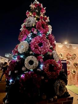 クリスマスツリー クリスマスツリー クリスマス,クリスマスツリー,冬の写真素材