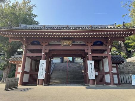 龍口寺 仁王門 龍口寺 仁王門 鎌倉,龍口寺,仁王門の写真素材