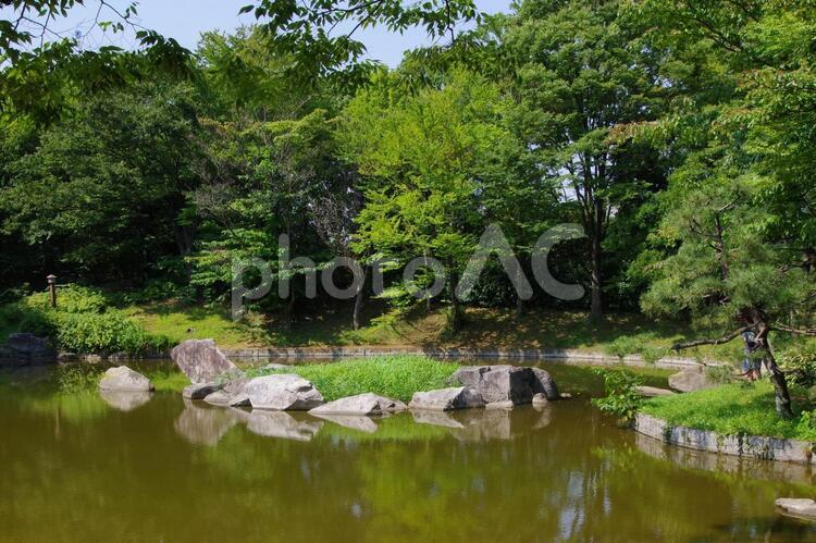 猿江恩賜公園の風景 猿江公園,猿江恩賜公園,公園の写真素材