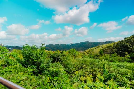 【鳥取】鳥取砂丘周辺の風景の写真