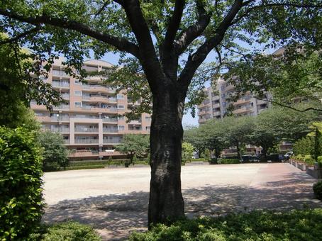 五月の緑風景-15 五月,緑,風景の写真素材