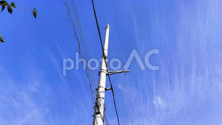青空の中の電信柱 電信柱,青空,電線の写真素材