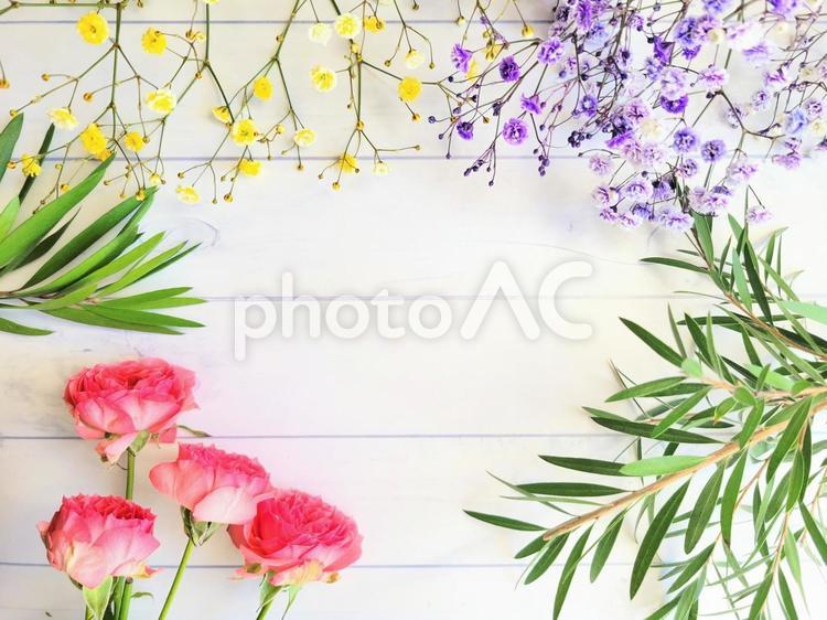 ピンクのバラと色とりどりのかすみ草 花,フレーム,ボタニカルの写真素材