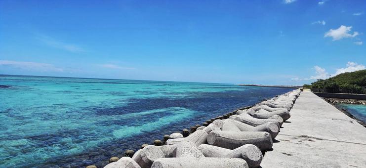 石垣島の風景 石垣島,自然,海の写真素材