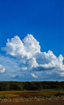 夏雲の写真