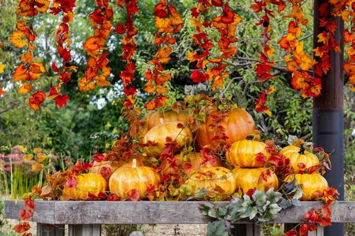 ハロウィンの飾り⑹ ハロウィンの飾り⑹ ハロウィン,飾り,カボチャの写真素材