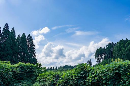 夏の青空と白い雲 夏の青空と白い雲の写真