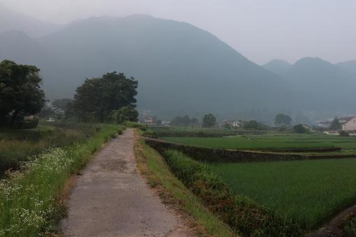 湯布院の田園 湯布院の田園の写真