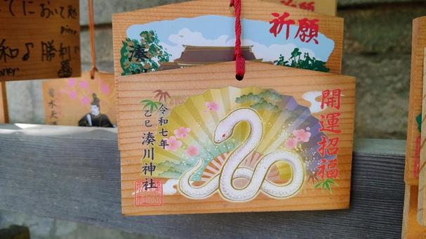 Photo, white snake, an ema, minatogawa shrine, 