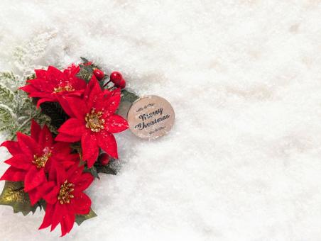 クリスマス（ポインセチア）3の写真