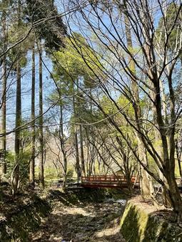 京都の春 京都の春 京都,大原,三千院の写真素材