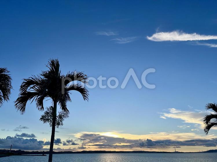 海沿いの散歩 海,海岸沿い,自然の写真素材