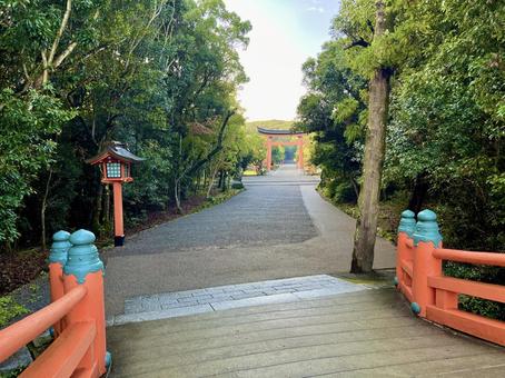 宇佐神宮 宇佐神宮,パワースポット,神社の写真素材