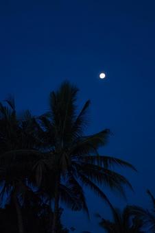 バリ島クタビーチの椰子の木の上に輝く満月 バリ島,クタビーチ,インドネシアの写真素材